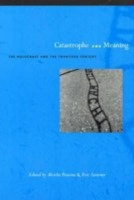 Catastrophe and Meaning(English, Paperback, unknown)