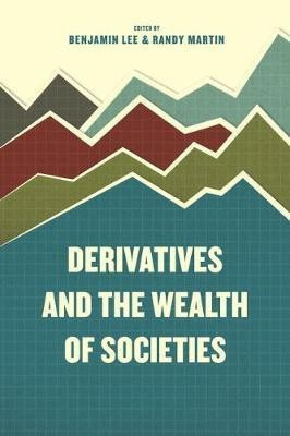 Derivatives and the Wealth of Societies(English, Hardcover, Lee Benjamin)