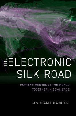 The Electronic Silk Road(English, Hardcover, Chander Anupam)