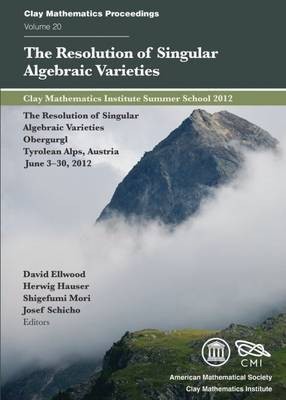 The Resolution of Singular Algebraic Varieties(English, Paperback, unknown)