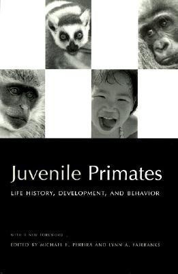 Juvenile Primates(English, Paperback, unknown)