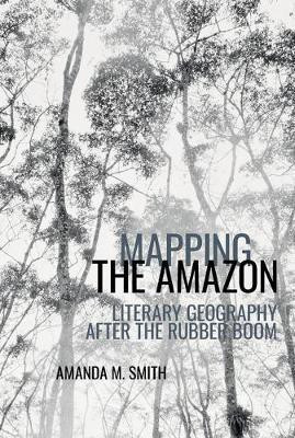 Mapping the Amazon(English, Hardcover, Smith Amanda M.)