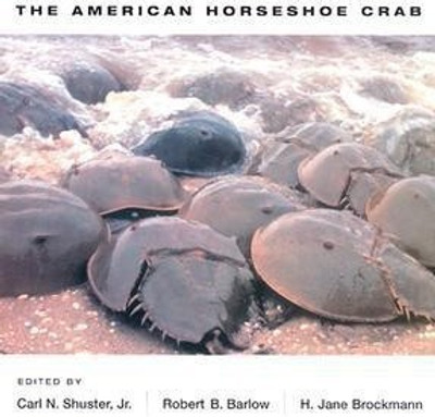 The American Horseshoe Crab(English, Hardcover, unknown)