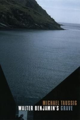 Walter Benjamin's Grave(English, Hardcover, Taussig Michael)