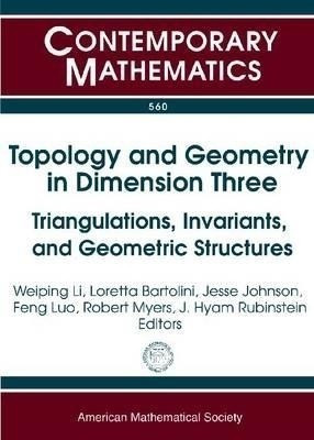 Topology and Geometry in Dimension Three(English, Paperback, Li Bartolini)