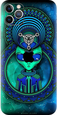 decalz apple iphone 11 pro Mobile Skin(Multicolor)