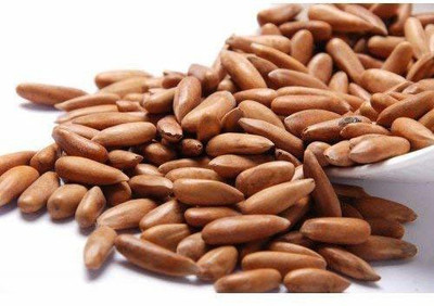 SundarLaxmi Pine Nuts with Shell - 100g | Chilgoza Pine Nuts(100 g)