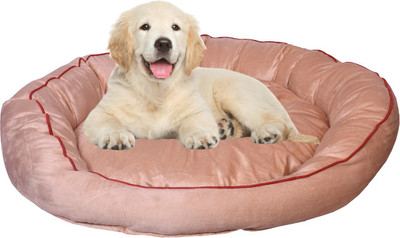 Slatters Be Royal Store PremiumQuality Velvet Luxury Washable DOG Sofa For All Season Sleeping CatPuppy XXL Pet Bed(Beige)