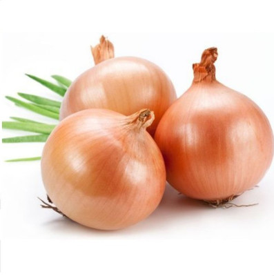 ROSEMERC light red onion Seed(500 per packet)