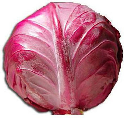 Paudha Cabbage Red Seed(52 per packet)