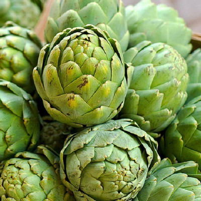 syed ARTICHOKE Seed(100 per packet)