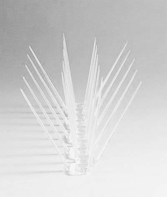 Dhunwa Kalan Store Bird Spike