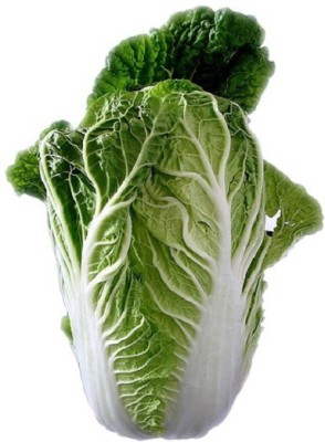 U-GROW INDIA CHINESE CABBAGE Seed(100 per packet)