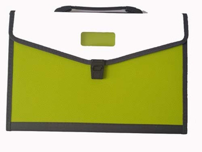 Greeshma PLASTIC Plastic Expanding File Folder with 13 Section Pockets,Handle, Index Tab,(Set Of 1, Green)