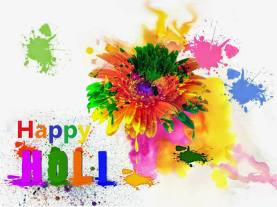 anshul internet point 45.72 cm HOLI 1 Self Adhesive Sticker(Pack of 1)