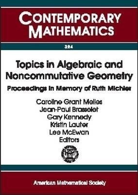Topics in Algebraic and Noncommutative Geometry(English, Paperback, unknown)