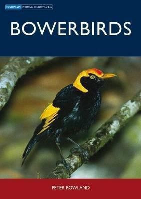 Bowerbirds(English, Paperback, Rowland Peter)