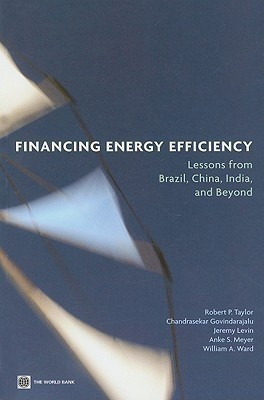 Financing Energy Efficiency(English, Paperback, Taylor Robert P.)