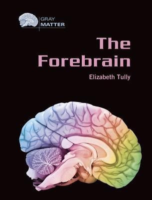 The Forebrain(English, Hardcover, Tully Elizabeth)