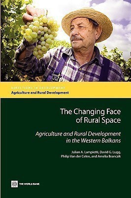 The Changing Face of Rural Space(English, Paperback, Lampietti Julian)