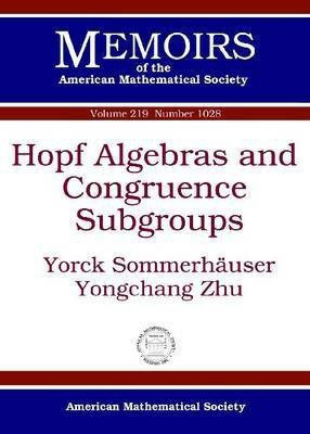 Hopf Algebras and Congruence Subgroups(English, Paperback, Sommerhauser Yorck)