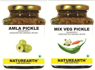 naturearth pickle COMBO AMLA and MIX VEG PICKLE 200+200 GM Amla, Mixed Vegetable Pickle(2 x 200 g)