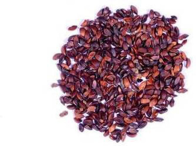 syed Amla Seeds Seed(100 per packet)