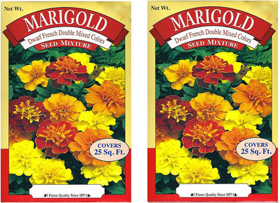 VibeX Dwarf French Double Mixed Colors Marigold Seed Mixture - 25 Squ.ft.perbox - 2 Box Pack Seed(1000 per packet)