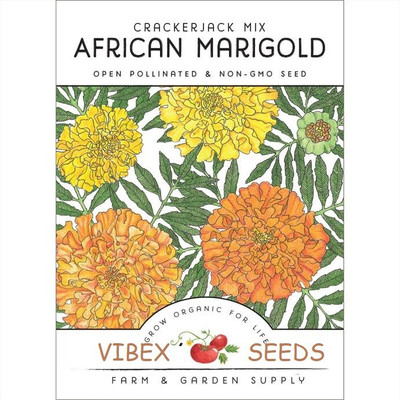 VibeX ™ LXI-922-Hybrid African Marigold Seeds Seed(5 per packet)