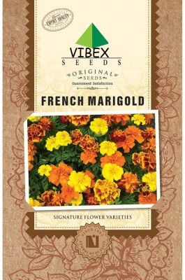 VibeX French Marigold Seeds Seed(1000 per packet)