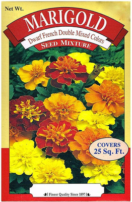 VibeX Dwarf French Double Mixed Colors Marigold Seed Mixture Seed(250 per packet)
