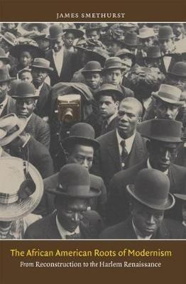 The African American Roots of Modernism(English, Hardcover, Smethurst James)