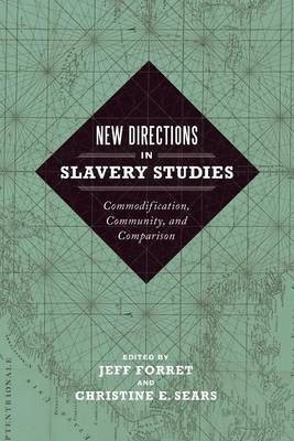 New Directions in Slavery Studies(English, Hardcover, unknown)