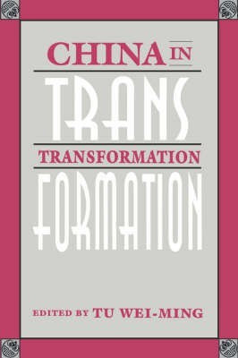 China in Transformation(English, Paperback, unknown)