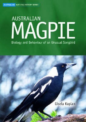 Australian Magpie(English, Paperback, Kaplan Gisela)