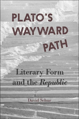 Plato's Wayward Path(English, Paperback, Schur David)