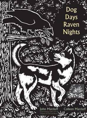 Dog Days, Raven Nights(English, Hardcover, Marzluff John M.)