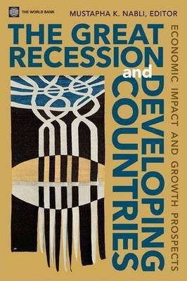 The Great Recession and Developing Countries(English, Paperback, unknown)