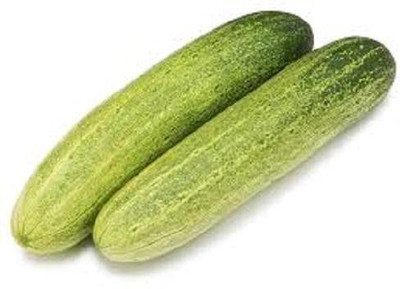 LYRS Cucumber Seed(75 per packet)