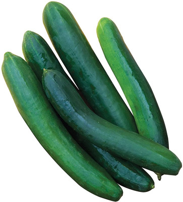LYRS Cucumber Seed(15 per packet)