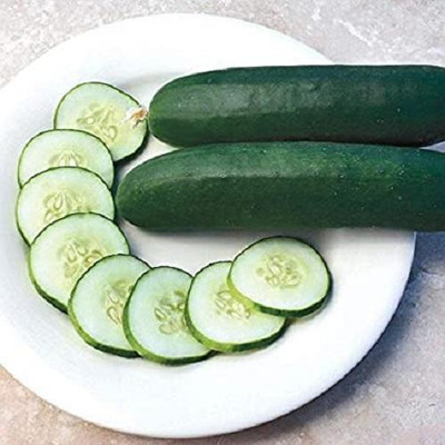 The Entacloo Sweet Slice Cucumber / Kheera Seeds Seed(400 per packet)