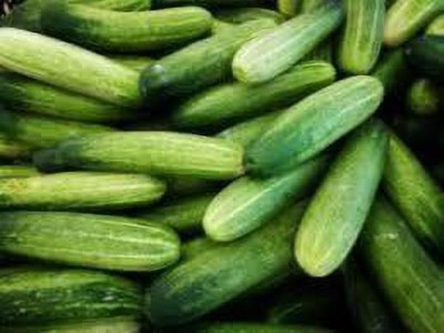 LYRS Cucumber Seed(30 per packet)