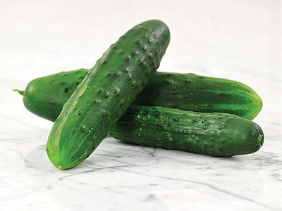LYRS Cucumber Seed(110 per packet)
