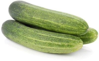 SONIRO CUCUMBER SEEDS HYBIRD F1 KHIRA Seed(70 per packet)