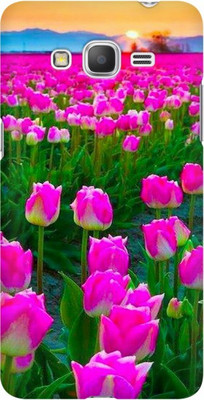 COBIERTAS Back Cover for Samsung Galaxy Grand Prime(Multicolor, Pack of: 1)