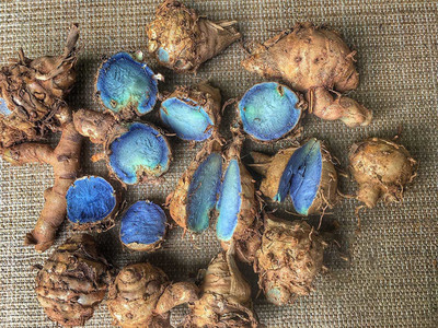 GOSIDDHI Kali Haldi Black Turmeric