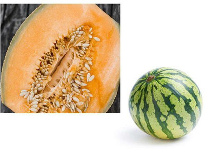 LYRS Desi Muskmelon & Watermelon Combo Seeds- 270 Seed(270 per packet)