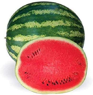 V Seed Crimson Watermelon Seeds- 20 Seed(20 per packet)