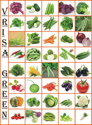 FLARE SEEDS 45 Variety of Vegetable Seeds with Instruction Manual Seed 45 per packet Seed(45 per packet)