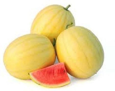Sjeme Yellow Melon Watermelon Seeds- 150 Seed(150 per packet)